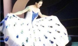 孔雀哥哥爆料视频大全,揭秘娱乐圈幕后真相